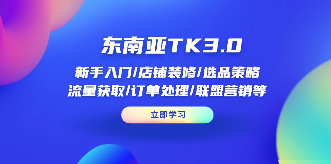东南亚TK3.0：新手入门/店铺装修/选品策略/流量获取/订单处理/联盟营销等-追梦聊项目