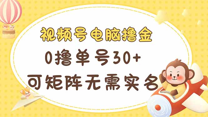 视频号电脑撸金 0撸单号30+ 可矩阵 无需实名多号多得-追梦聊项目