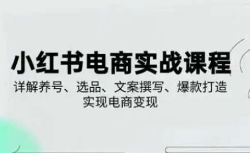 小红书从0-1实操课(2023-2025)，详解养号、选品、文案撰写、爆款打造实现电商变现-追梦聊项目