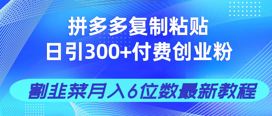 拼多多复制粘贴日引300+付费创业粉，割韭菜月入6位数最新教程！-追梦聊项目
