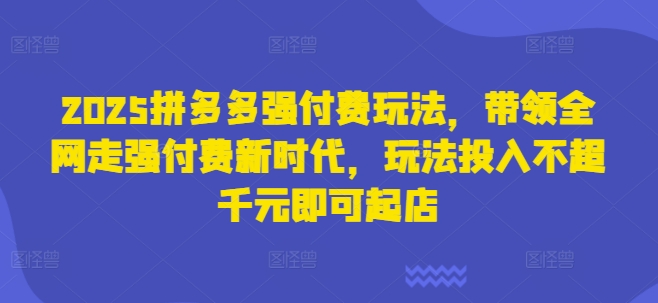2025拼多多强付费玩法，带领全网走强付费新时代，玩法投入不超千元即可起店-追梦聊项目