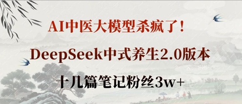 AI中医大模型杀疯了！DeepSeek中式养生2.0版本，十几篇笔记粉丝3w+-追梦聊项目