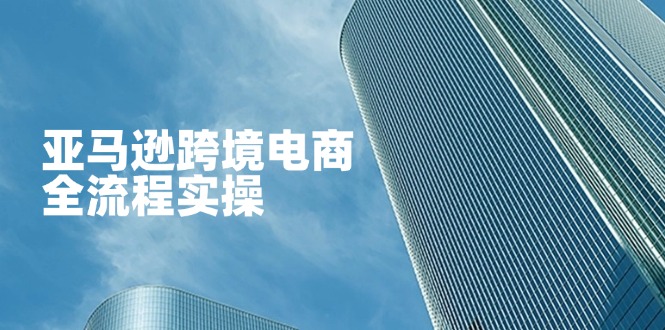 亚马逊跨境电商全流程实操，教你从零开始，掌握店铺运营与广告技巧-追梦聊项目