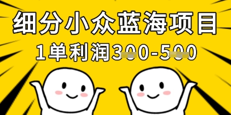细分小众蓝海项目，一单利润3张，每月收入稳定过1w+-追梦聊项目