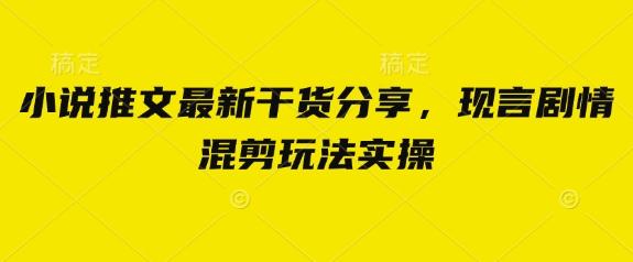 小说推文最新干货分享，现言剧情混剪玩法实操-追梦聊项目