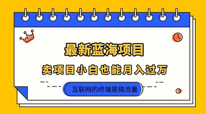 2025年最新蓝海项目，卖项目小白也能月入过万-追梦聊项目