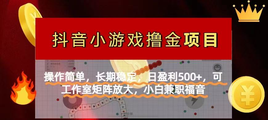 【抖音小游戏发行人计划项目】操作简单，长期稳定，日盈利500+，可工作…-追梦聊项目