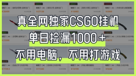 真全网独家CSGO挂G，单日捡漏1k+【揭秘】-追梦聊项目