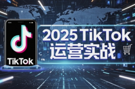 2025TikTok电商运营，掌握TikTok店铺运营核心技巧，实现低成本高转化-追梦聊项目