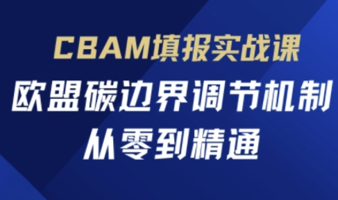 CBAM填报实战课，欧盟碳边界调节机制，从零到精通-追梦聊项目