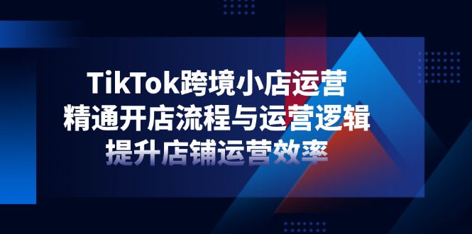 TikTok跨境小店运营，精通开店流程与运营逻辑，提升店铺运营效率-追梦聊项目