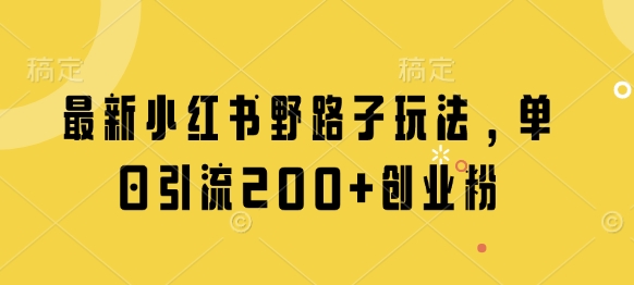 最新小红书野路子玩法，单日引流200+创业粉-追梦聊项目