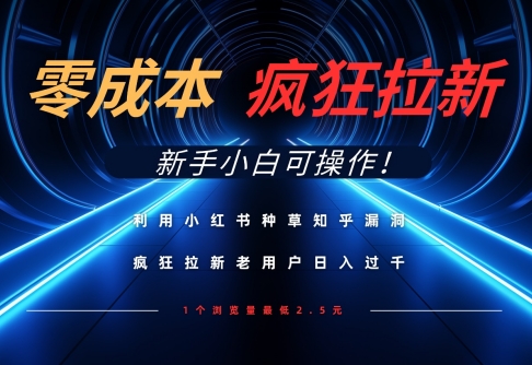 利用小红书种草知乎漏洞，零成本疯狂拉新日入数张，新手小白可操作-追梦聊项目