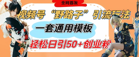 视频号“野路子”玩法，评论区疯狂截流，一套模板单日单号引流50+创业粉-追梦聊项目