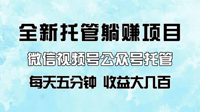 全新托管躺赚项目，微信视频号公众号托管代运营，每天五分钟，收益大几百-追梦聊项目
