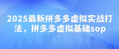 2025最新拼多多虚拟实战打法，拼多多虚拟基础sop-追梦聊项目