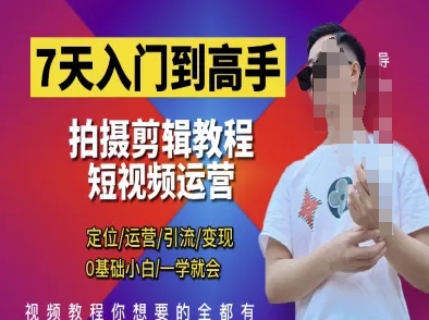 7天入门到高手，短视频剪辑运营高手课，定位 运营 引|流 变现，0基础小白一学就会-追梦聊项目