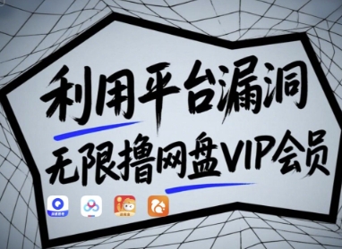 利用平台漏洞，无限撸网盘VIP会员，用户亲测有效!【漏洞原理+操作演示】-追梦聊项目