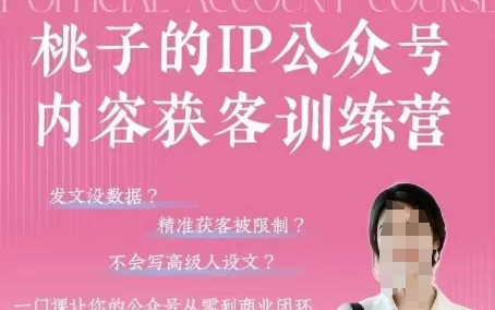 桃子IP公众号内容获客训练营(第3期)，一门让你公众号从0到商业闭环的课程-追梦聊项目