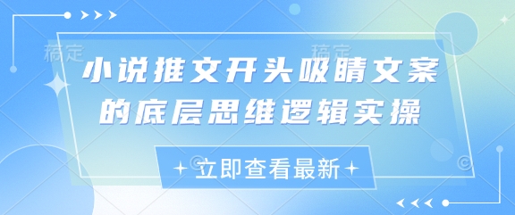 小说推文开头吸睛文案的底层思维逻辑实操-追梦聊项目