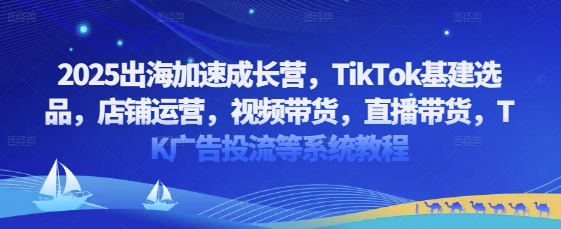 2025出海加速成长营，TikTok基建选品，店铺运营，视频带货，直播带货，TK广告投流等系统教程-追梦聊项目