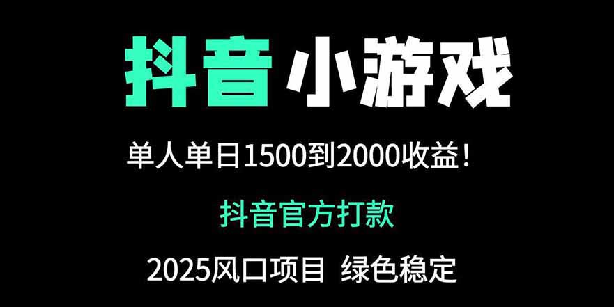 抖音官方小游戏2025全网最新玩法，暴利赚钱项目，单机日入2000+-追梦聊项目