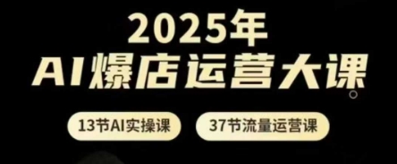 2025年AI爆店运营大课，13节AI实操课+37节流量运营课-追梦聊项目