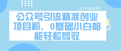 公众号引流精准创业项目粉，0基础小白都能轻松驾驭-追梦聊项目