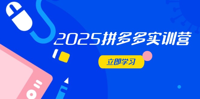 2025拼多多实训营：深度剖析运营关键，助力电商人快速提升-追梦聊项目