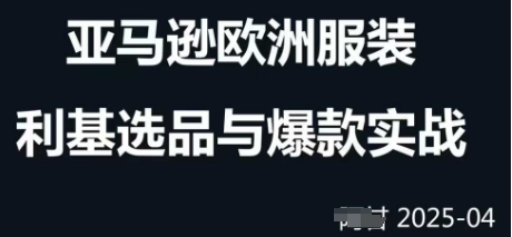 跨境电商选品案例24-25年，聚焦跨境电商选品策略与运营优化，助力卖家挖掘蓝海市场-追梦聊项目