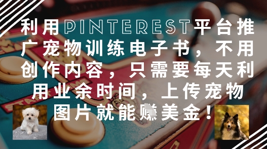 利用Pinterest平台推广宠物训练电子书，不用创作内容，只需要每天利用业余时间，上传宠物图片就能挣美金!-追梦聊项目