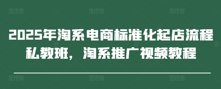 2025年淘系电商标准化起店流程私教班，淘系推广视频教程-追梦聊项目