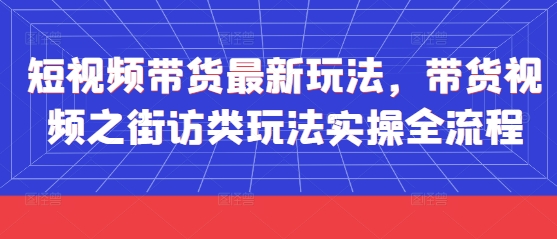 短视频带货最新玩法，带货视频之街访类玩法实操全流程-追梦聊项目