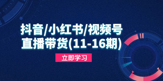 抖音/小红书/视频号/直播带货(11-16期-追梦聊项目