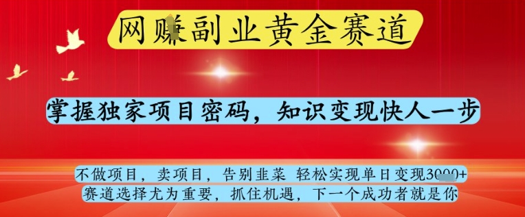 网创副业黄全赛道，掌握独家项目密码，知识变现快人一步，告别韭菜轻松实现单日变现1k+【揭秘】-追梦聊项目