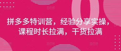 拼多多特训营，经验分享实操，课程时长拉满，干货拉满(更新25年4月)-追梦聊项目