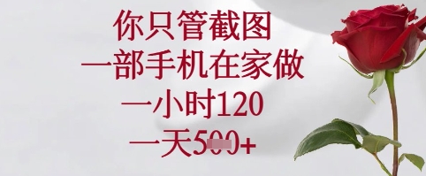 你只管截图，一部手机在家可以做，一小时120.一天5张+【揭秘】-追梦聊项目