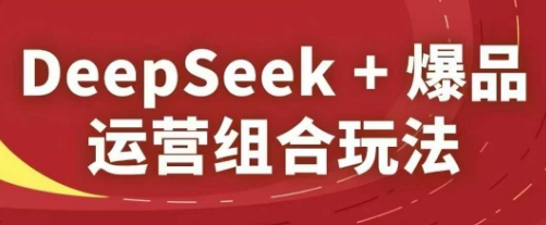 DeepSeek+爆品运营组合玩法，2025淘系精品课-追梦聊项目
