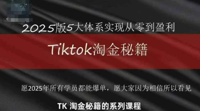 TikTok跨境2025淘金秘籍，​2025TikTok从0到盈利变现-追梦聊项目