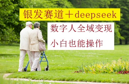 银发赛道+deepseek数字人全域变现，小白也能操作-追梦聊项目