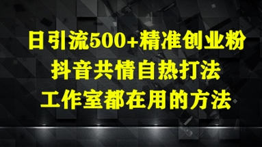 日引流500+精准创业粉，抖音共情自热打法，工作室都在用的方法-追梦聊项目
