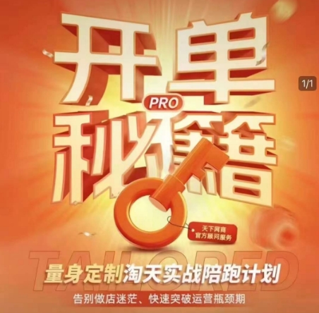 淘宝开单秘籍PRO，量身定制淘天实战陪跑计划，告别做店迷茫、快速突破运营瓶颈期(更新)-追梦聊项目