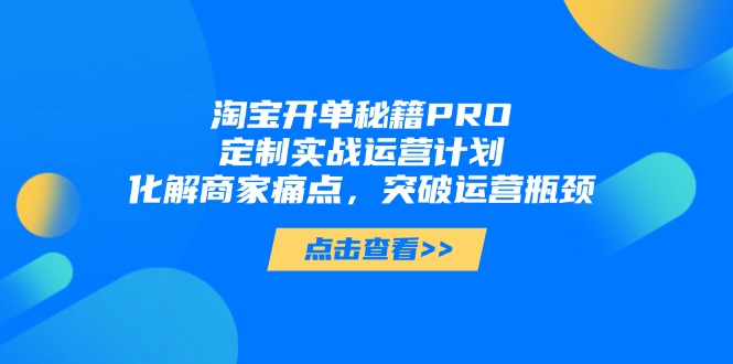 淘宝开单秘籍PRO，定制实战运营计划，化解商家痛点，突破运营瓶颈-追梦聊项目