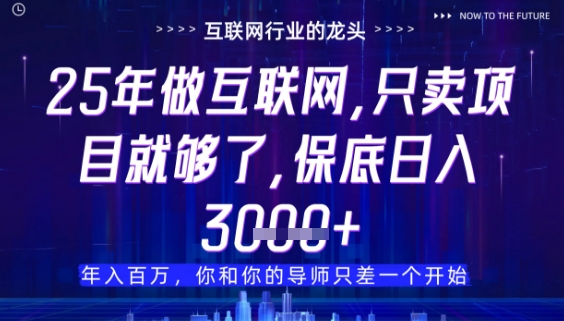 什么！25年你还在找项目做？风口早就变了，卖项目才是稳挣不赔【揭秘】-追梦聊项目