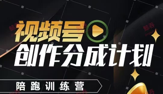视频号创作分成计划陪跑训练营，手把手教会你如何制作视频，细水长流型项目-追梦聊项目