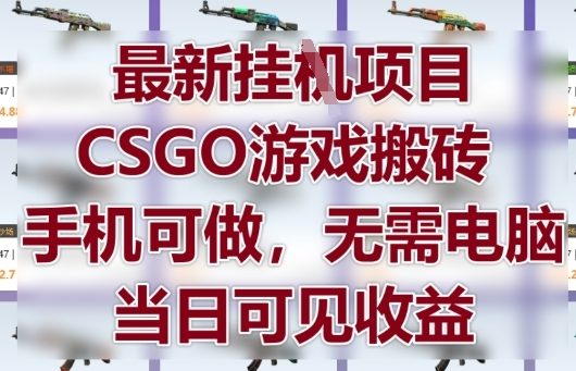最新挂G项目，CSGO游戏搬砖，手机可做，无需电脑，当日见收益【揭秘】-追梦聊项目