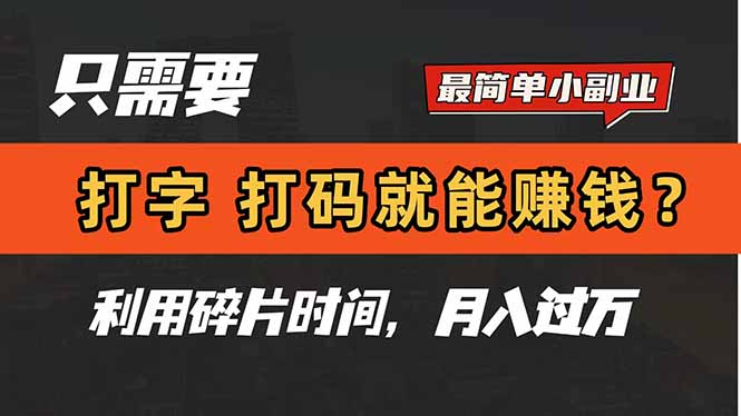 只需要打字，打码，就能赚钱？简单的赚钱小副业，利用碎片时间，月入过万-追梦聊项目