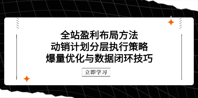 全站盈利布局方法：动销计划分层执行策略，爆量优化与数据闭环技巧-追梦聊项目