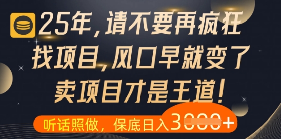 什么？25年你还在疯狂找项目做，醒醒吧，看完这些你全都懂了【揭秘】-追梦聊项目