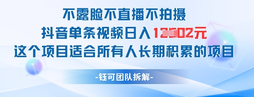 不露脸不直播不拍摄抖音单条视频日入1k+这个项目适合所有人长期积累的项目-追梦聊项目